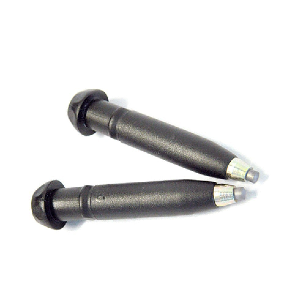 Fizan lazdos antgalis