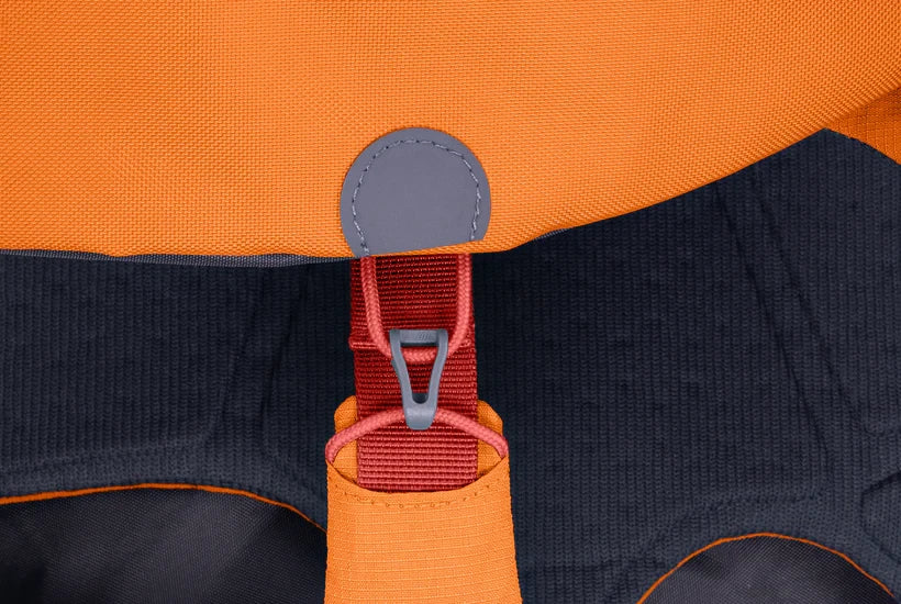 Ruffwear Approach™ Pack