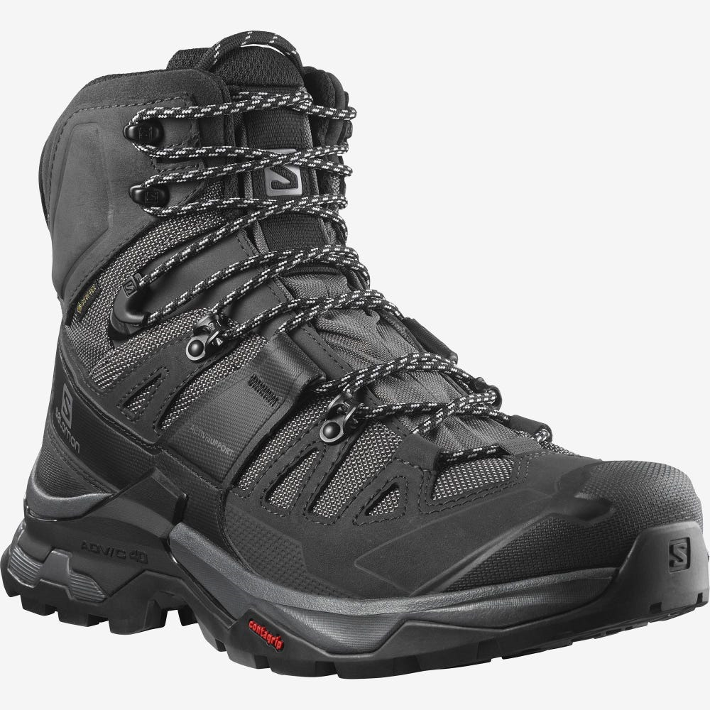 SALOMON apavi Quest 4 GTX black