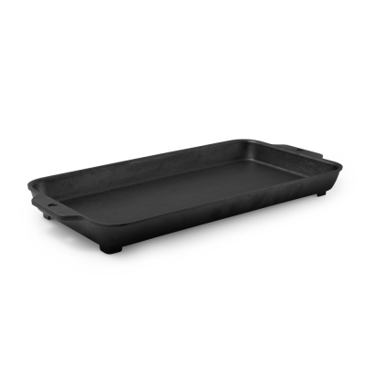 BioLite FirePit pann