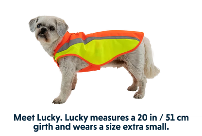 Ruffwear Lumenglow™ High-Vis Jacket