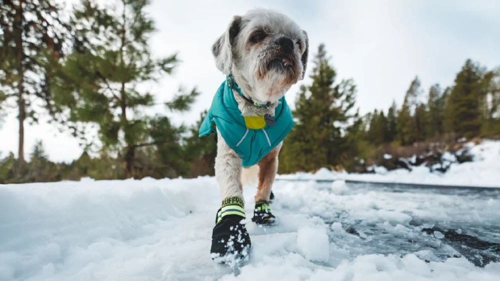 Ruffwear Summit Trex™ Shoe