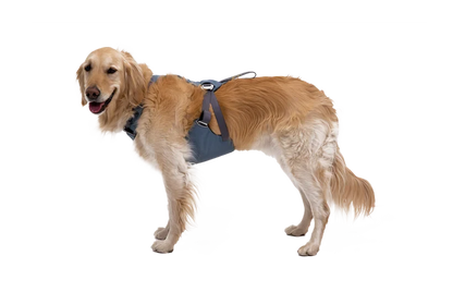 Ruffwear Load Up™ Harness