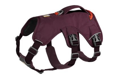 Ruffwear Web Master™ Harness