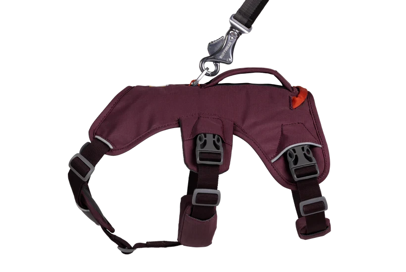 Ruffwear Web Master™ Harness