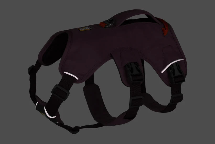 Ruffwear Web Master™ Harness
