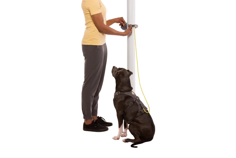 Ruffwear Hitch Hiker™ Leash