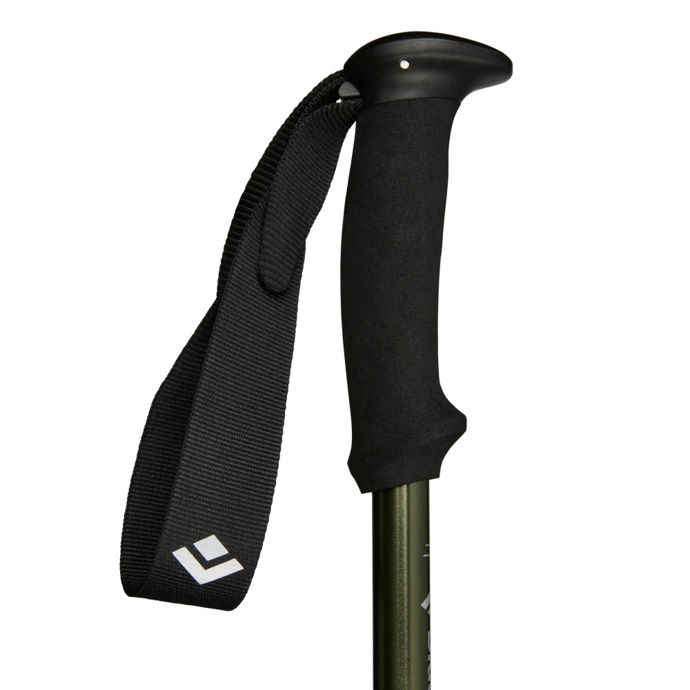 Black Diamond Explorer 3 Trekking Pole