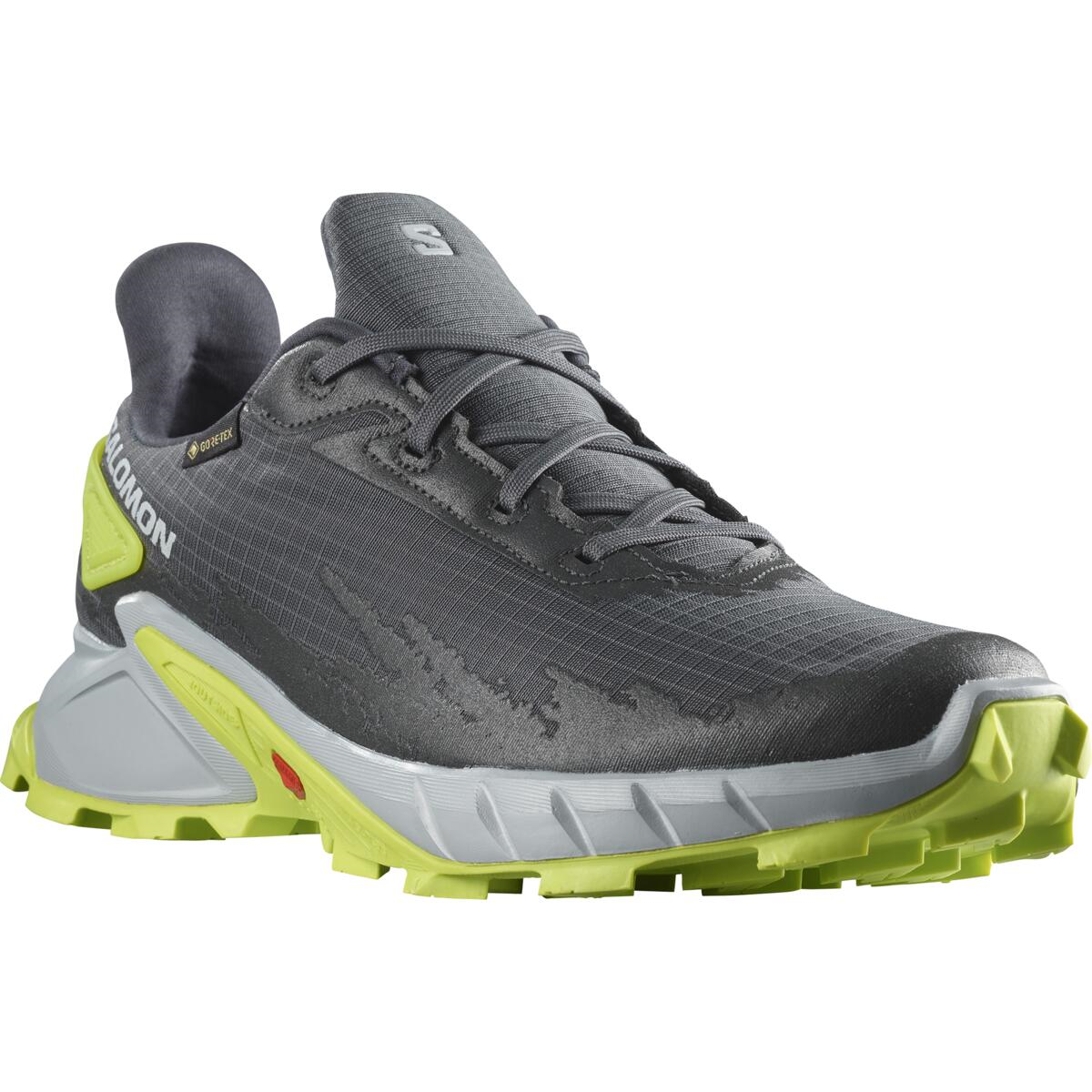 SALOMON apavi Alphacross 4 GTX grey/green
