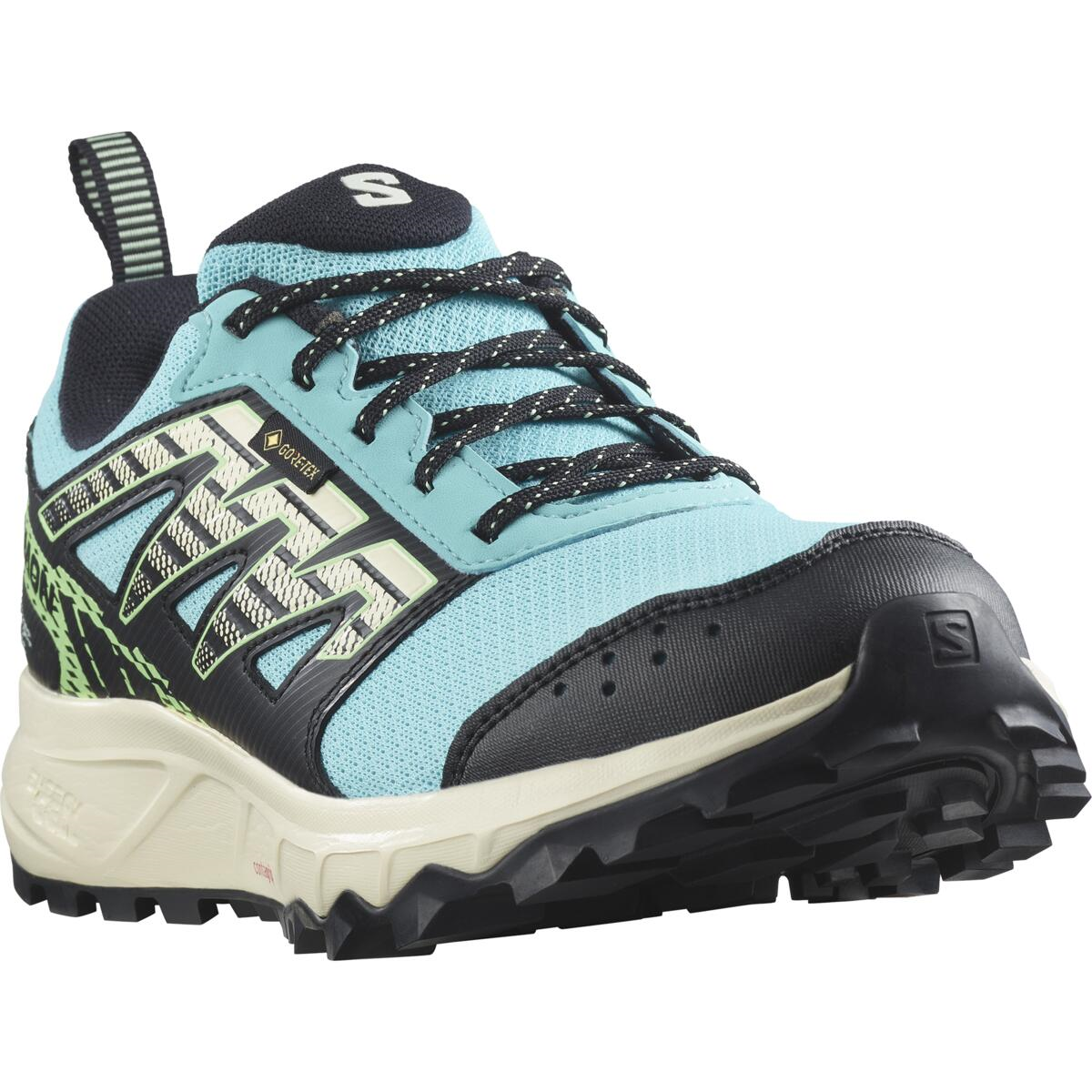 SALOMON apavi Wander GTX W blue/green/black