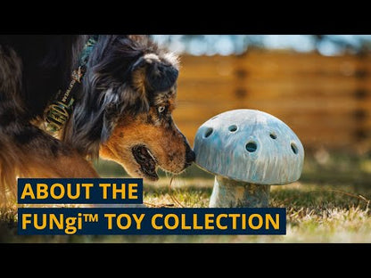 Ruffwear Toadstool™ Toy
