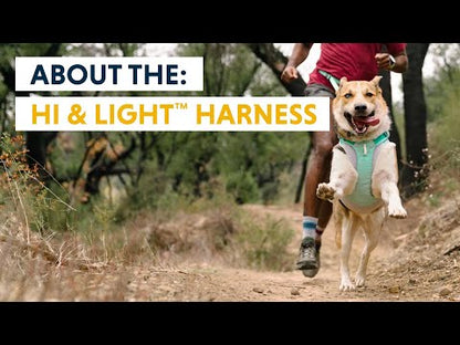 Ruffwear Hi & Light™ Harness